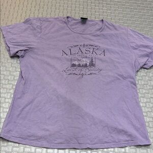 Hanes Alaska Graphic Tee Shirt L Lavender Relaxed Fit Land of Beauty